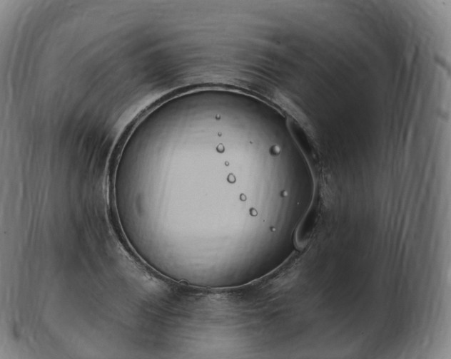 X0000103331028200809121205