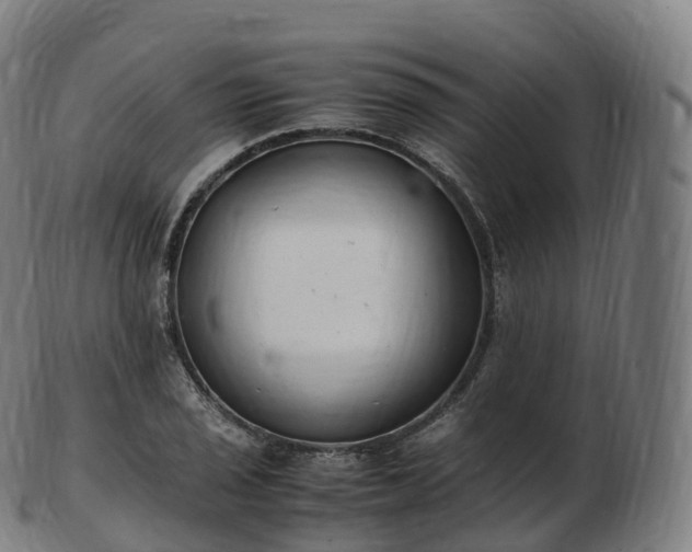 X0000103331029200809121205