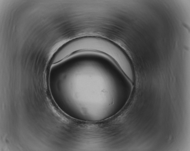 X0000103331030200809121205