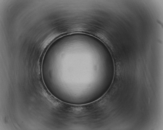 X0000103331031200809121205