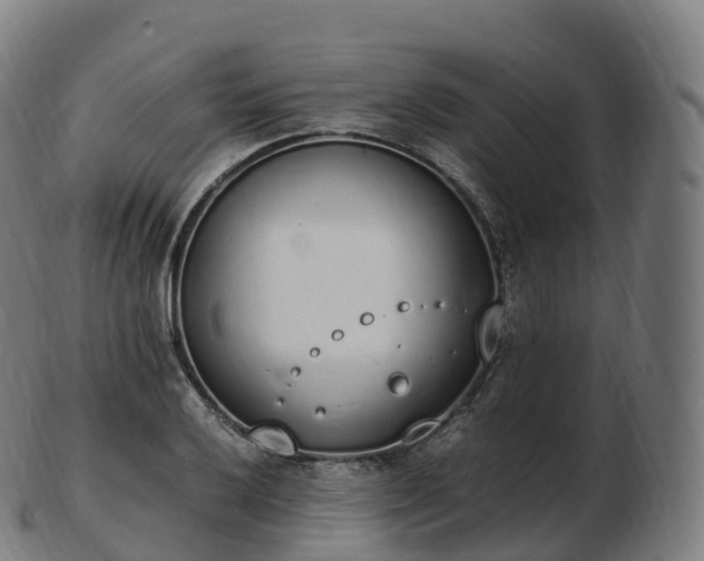 X0000103331032200809121205