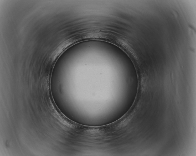 X0000103331033200809121205