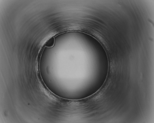 X0000103331034200809121205