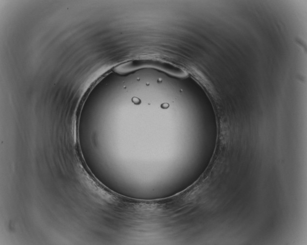 X0000103331036200809121205