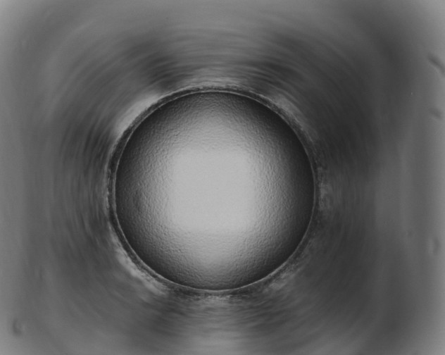 X0000103331038200809121206