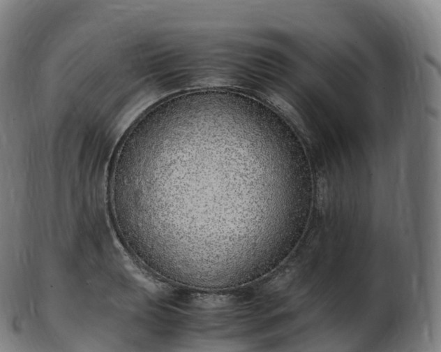 X0000103331039200809121206