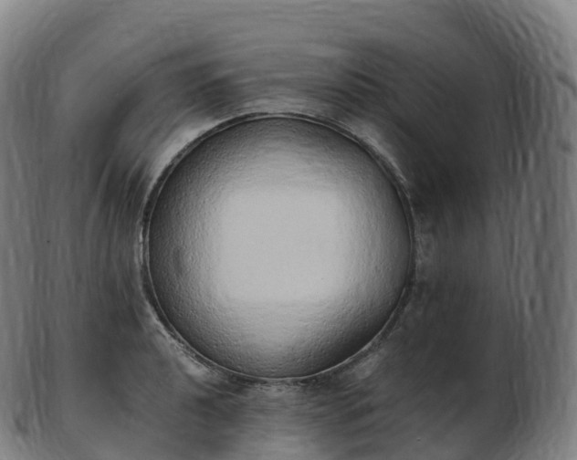 X0000103331040200809121206