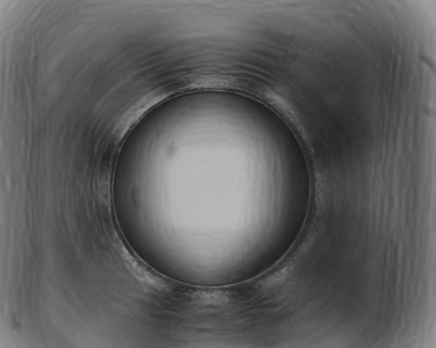 X0000103331041200809121206