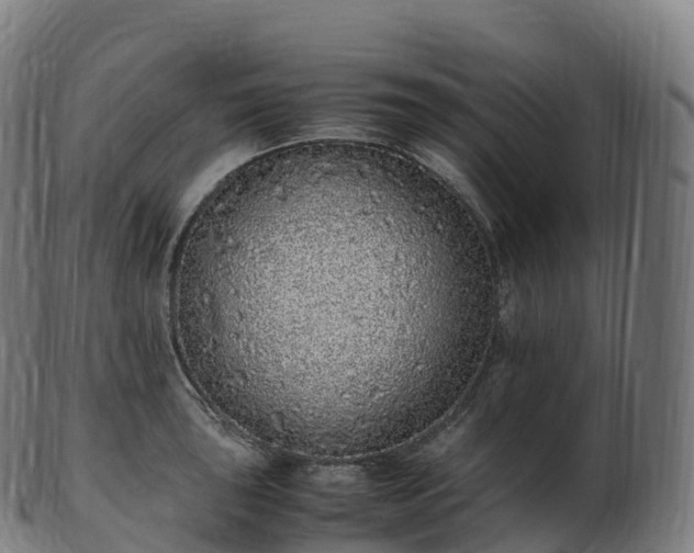 X0000103331043200809121206