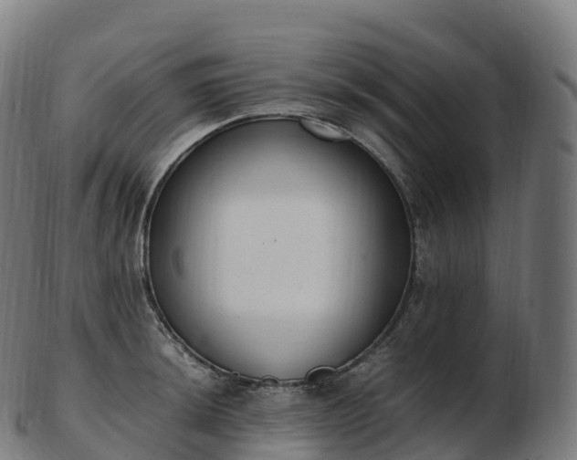 X0000103331044200809121206