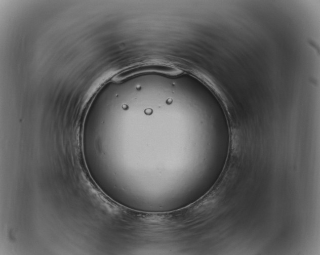 X0000103331048200809121206