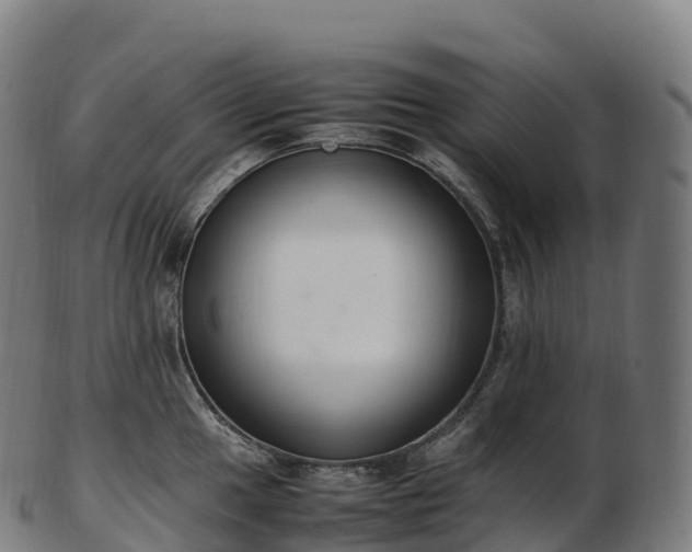 X0000103331049200809121206