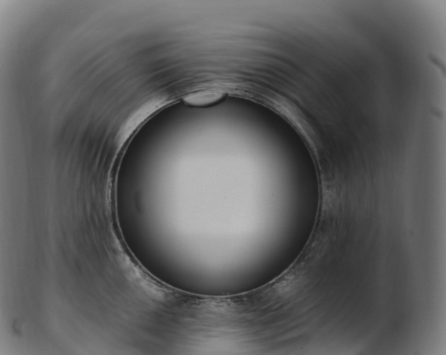 X0000103331050200809121206