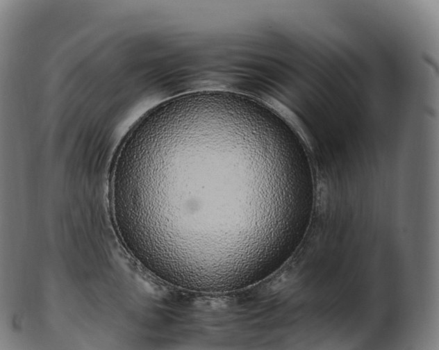 X0000103331051200809121206