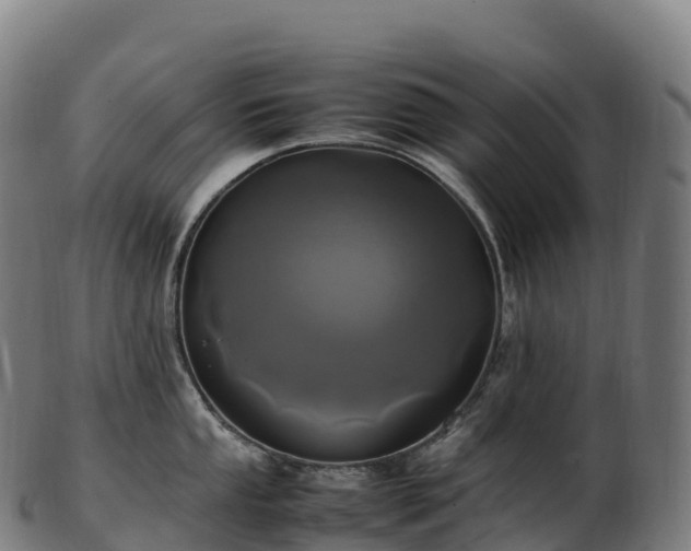 X0000103331053200809121206