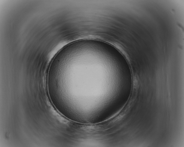 X0000103331054200809121206