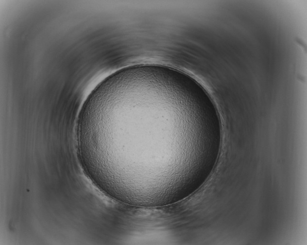 X0000103331056200809121206