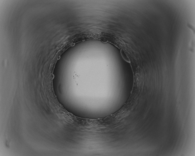 X0000103331057200809121205