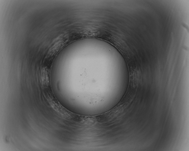 X0000103331058200809121205