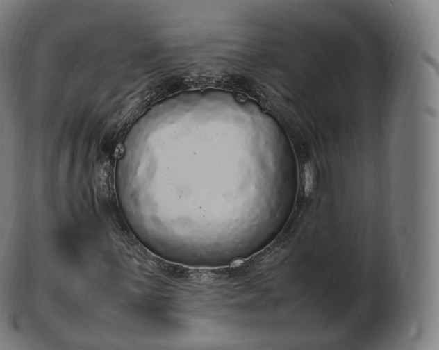 X0000103331059200809121205