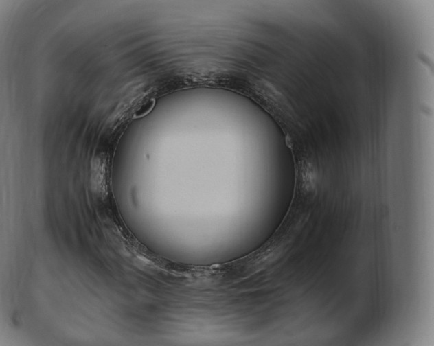 X0000103331060200809121205