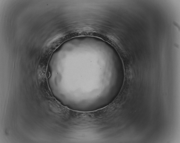 X0000103331063200809121205