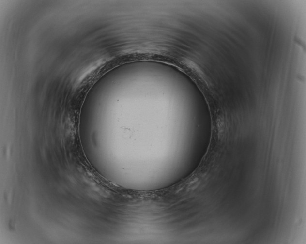 X0000103331064200809121205