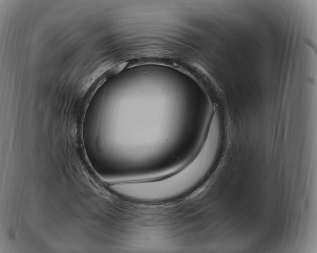 X0000103331065200809121205