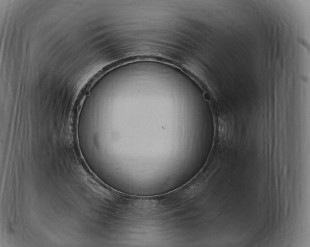 X0000103331068200809121205