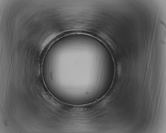 X0000103331069200809121205