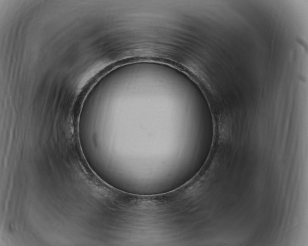 X0000103331070200809121205