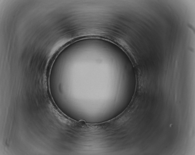 X0000103331072200809121205