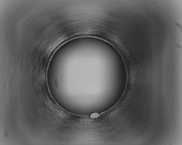 X0000103331073200809121205