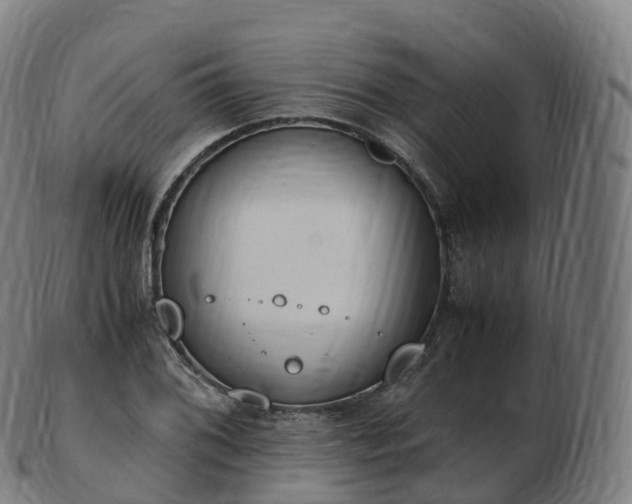 X0000103331076200809121205