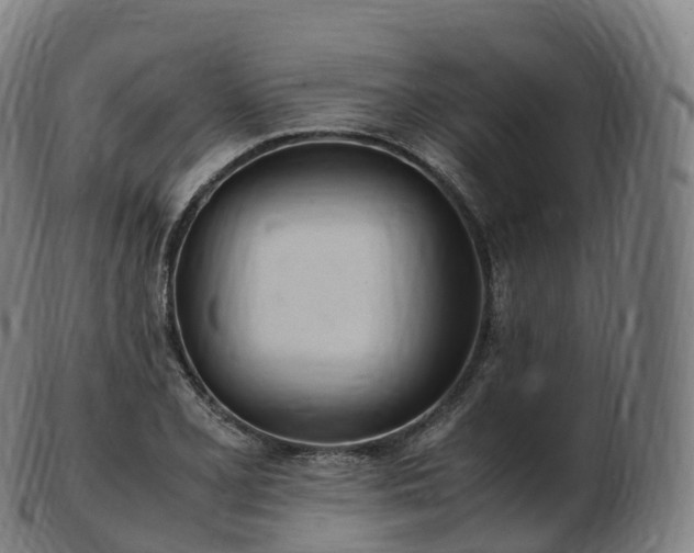 X0000103331077200809121205