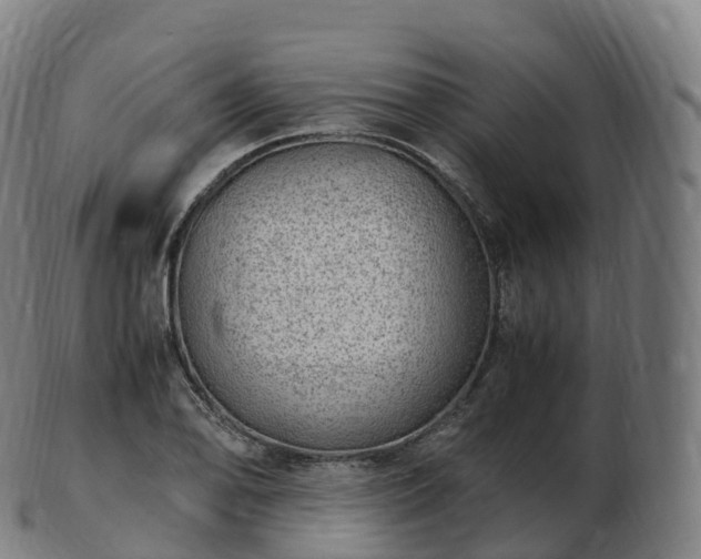 X0000103331078200809121205