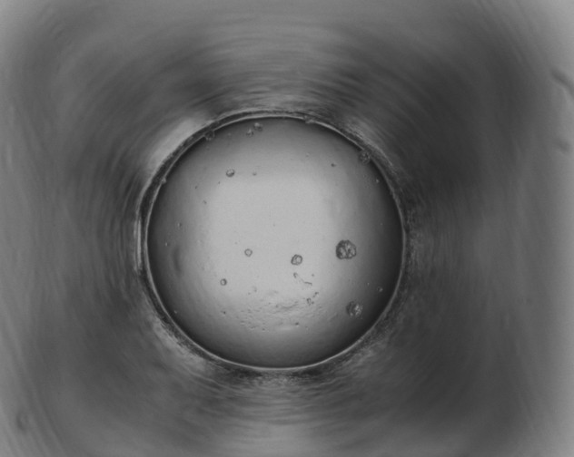 X0000103331079200809121205