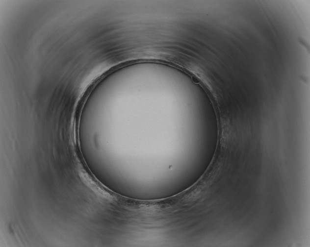 X0000103331080200809121205