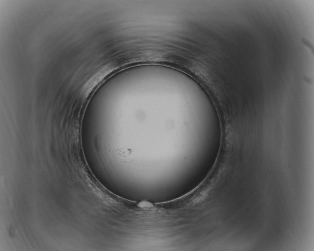 X0000103331081200809121205