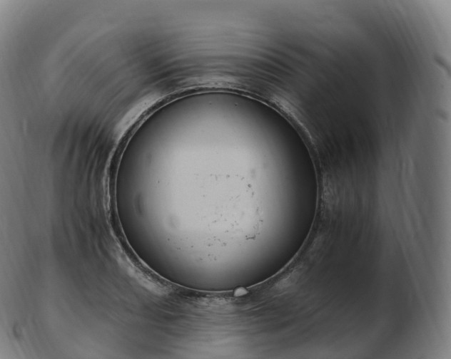 X0000103331082200809121205