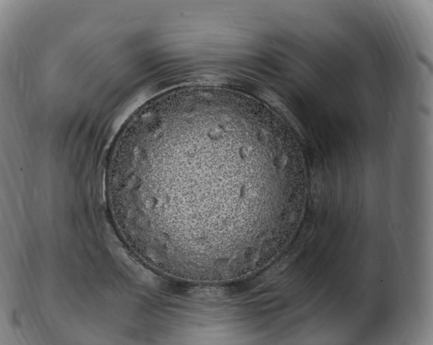 X0000103331083200809121205