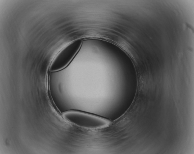 X0000103331084200809121205