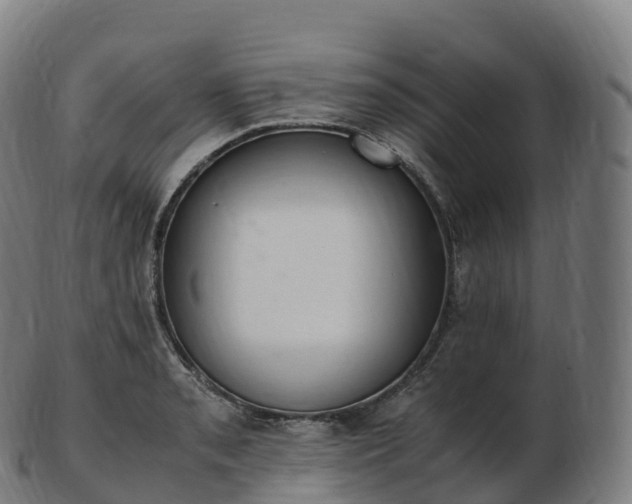 X0000103331085200809121205