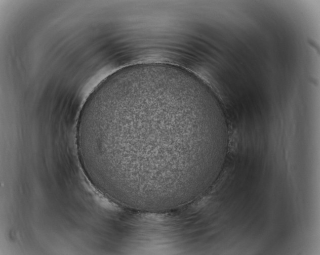 X0000103331086200809121205