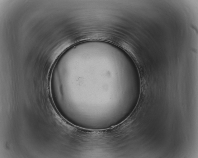 X0000103331087200809121205