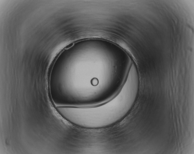 X0000103331088200809121205