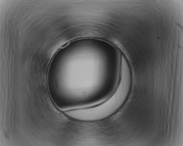 X0000103331089200809121205