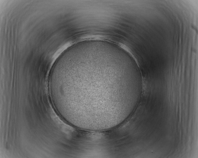 X0000103331090200809121205