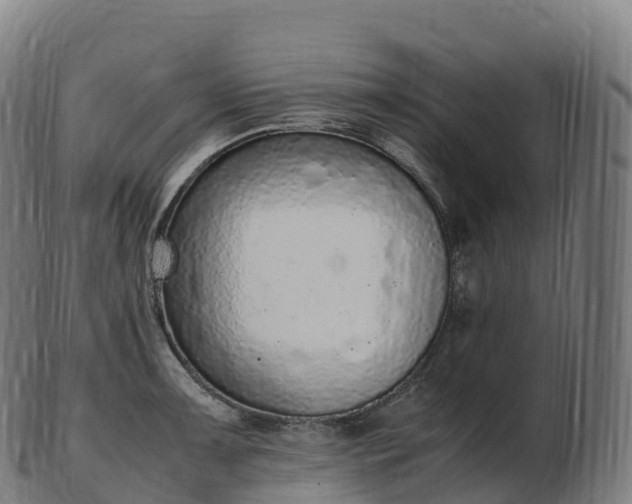 X0000103331091200809121205