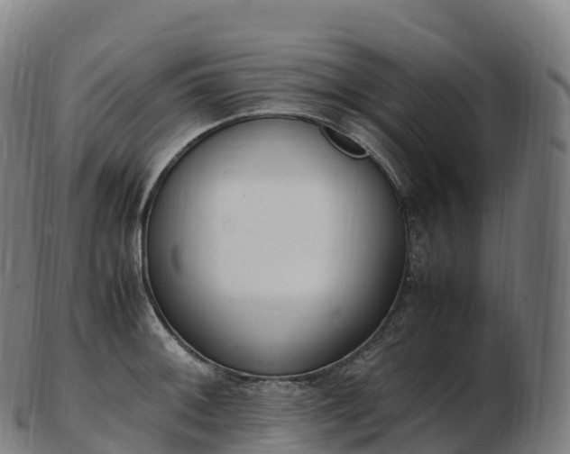 X0000103331092200809121205